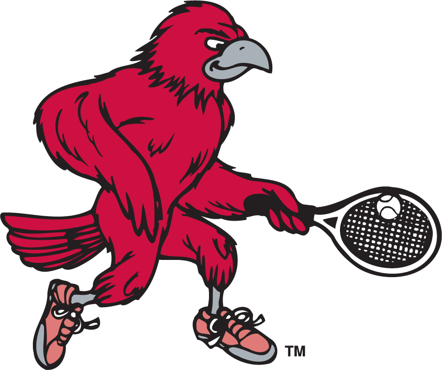 St. Joseph's Hawks 1995-2002 Secondary Logo v2 diy iron on heat transfer